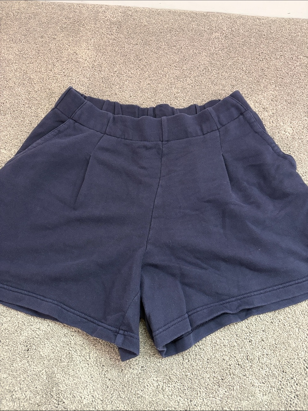 Aerie Navy Blue Shorts